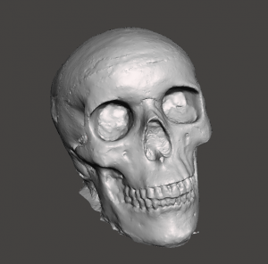 Modelo calavera escaneado